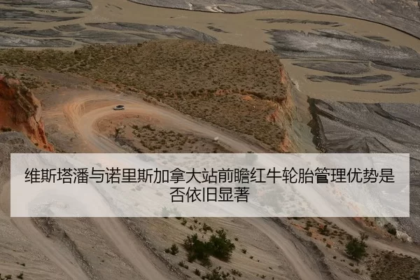 维斯塔潘与诺里斯加拿大站前瞻红牛轮胎管理优势是否依旧显著