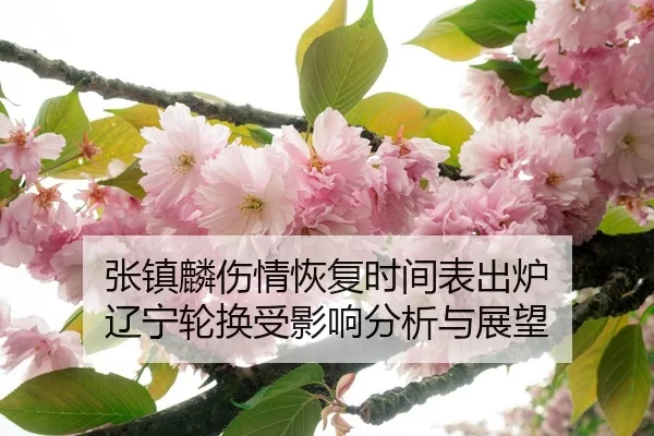 张镇麟伤情恢复时间表出炉 辽宁轮换受影响分析与展望